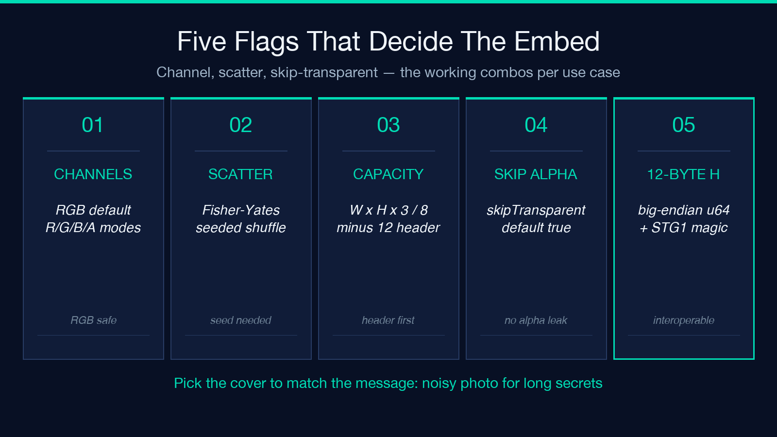 Five flags that decide the embed: channels, scatter, capacity, skip-alpha, STG1 header