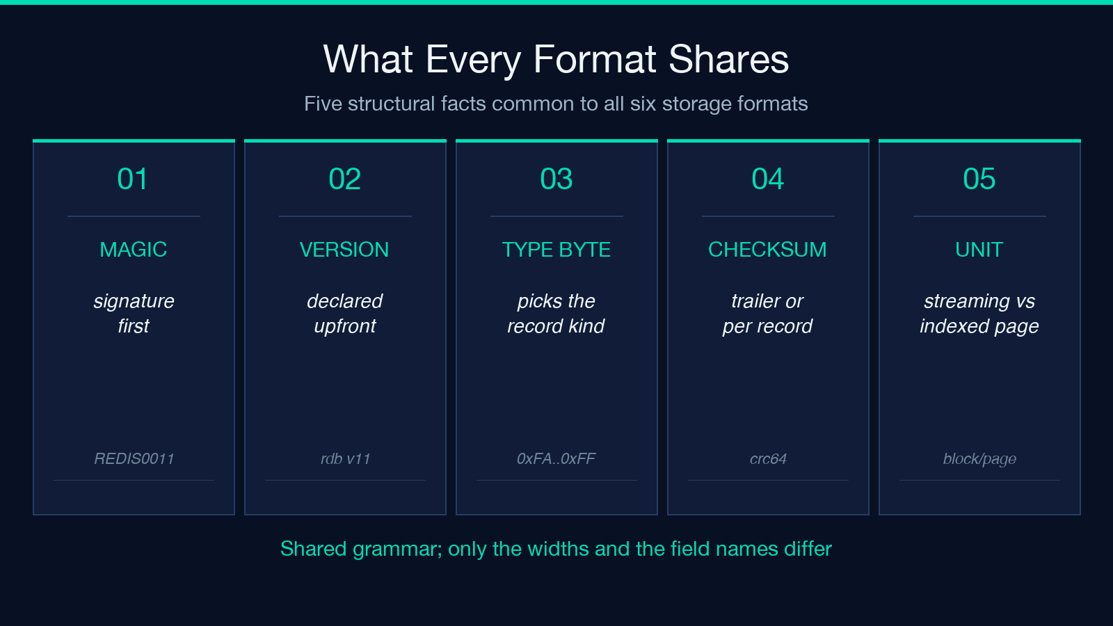 Five structural facts shared by RDB, LevelDB WAL, SSTable and Memcached formats: magic, version, type byte, checksum, and record unit