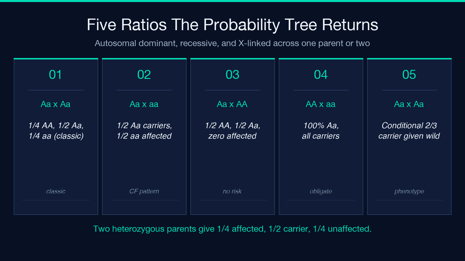 Five ratios the probability tree returns for autosomal inheritance crosses