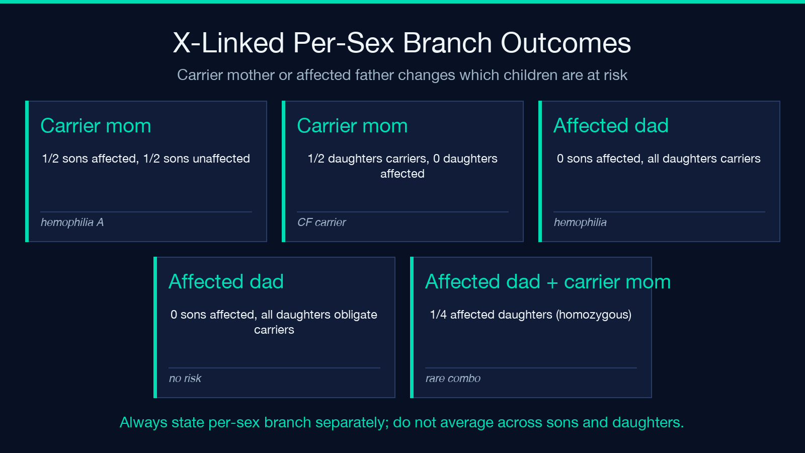 X-linked recessive inheritance per-sex branch outcomes