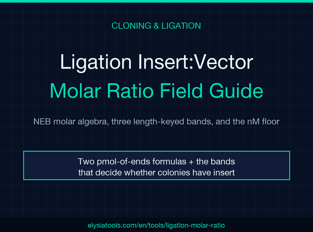 Ligation Insert:Vector Molar Ratio Field Guide poster