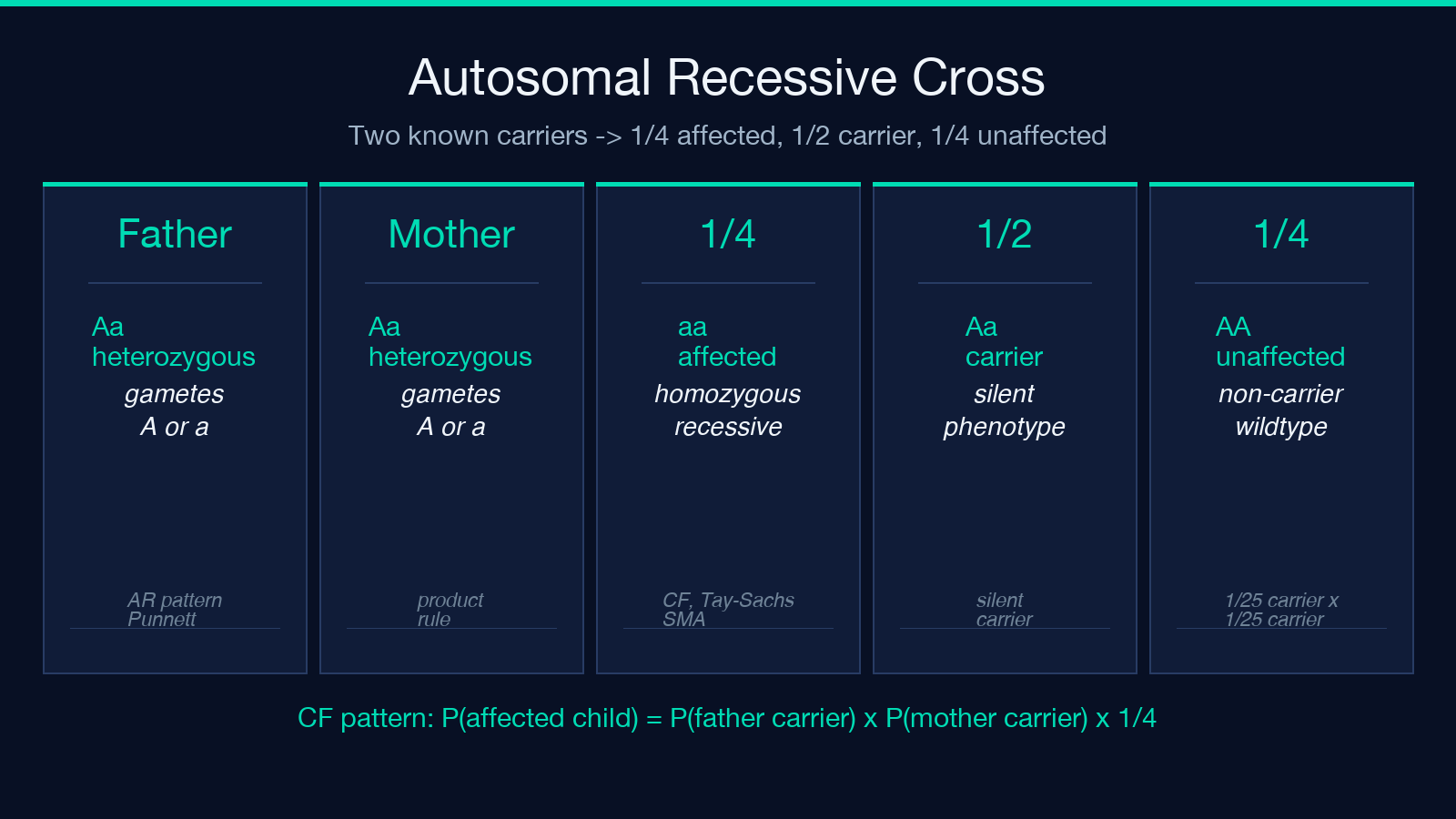 Two-layer autosomal recessive risk diagram