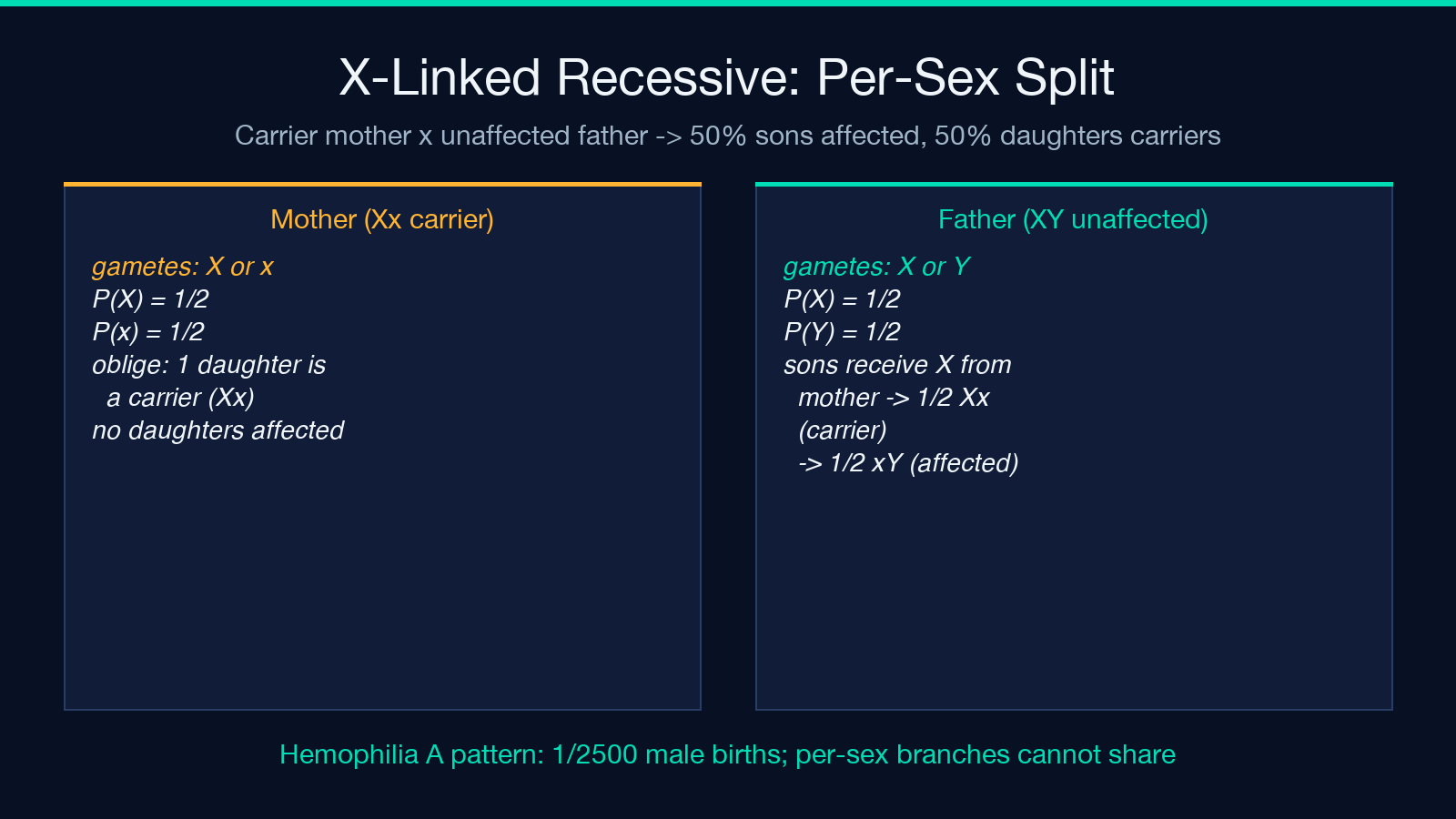 X-linked recessive per-sex branch diagram