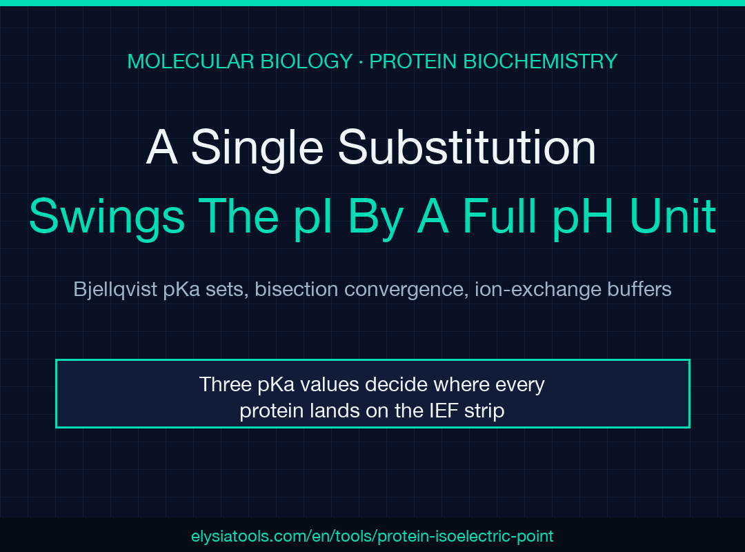 Protein Isoelectric Point Calculator field guide cover