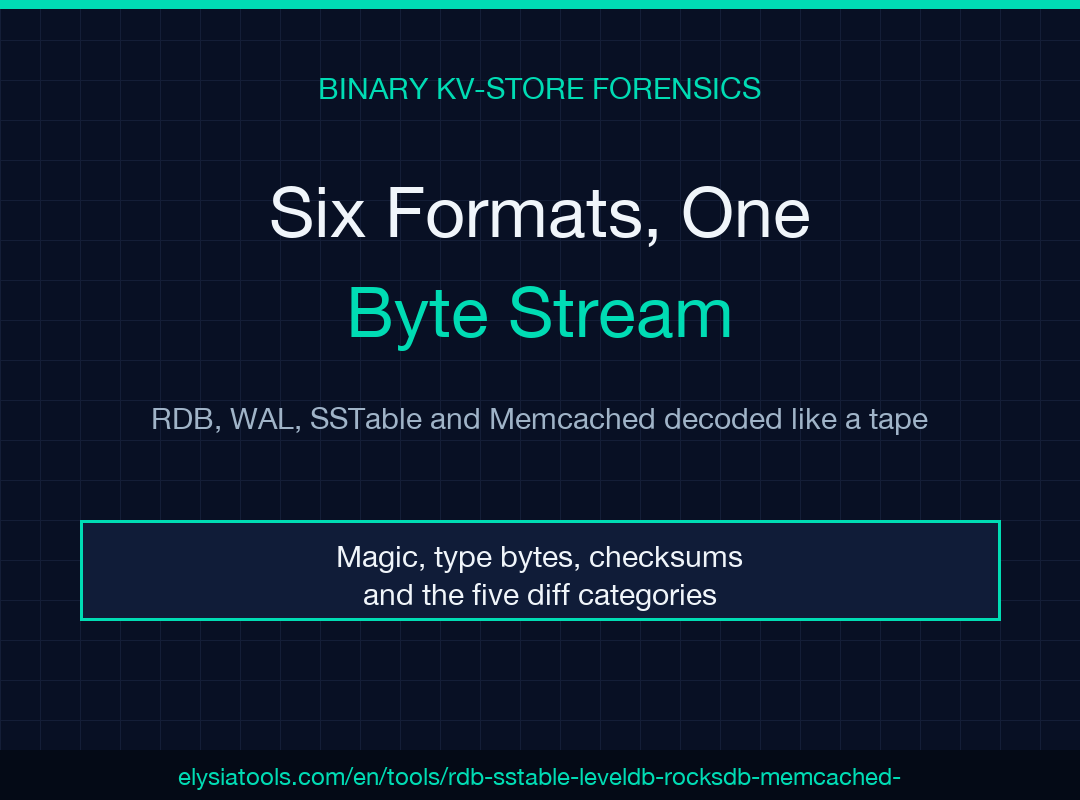 Field guide cover: six binary key-value store formats decoded as one byte stream