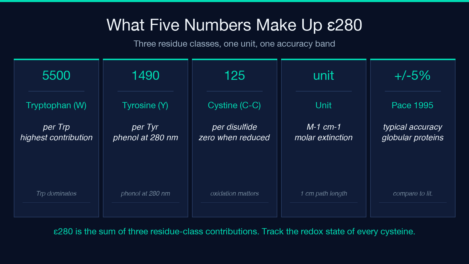 What five numbers make up ε280: 5500 from tryptophan, 1490 from tyrosine, 125 from each cystine disulfide, the molar extinction unit M⁻¹cm⁻¹, and the typical ±5% Pace 1995 accuracy band.