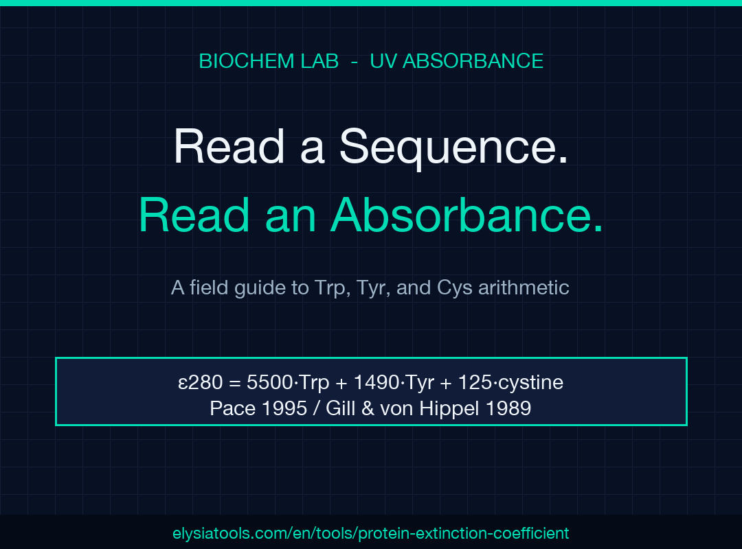 Read a sequence. Read an absorbance. A field guide to Trp, Tyr, and Cys arithmetic.